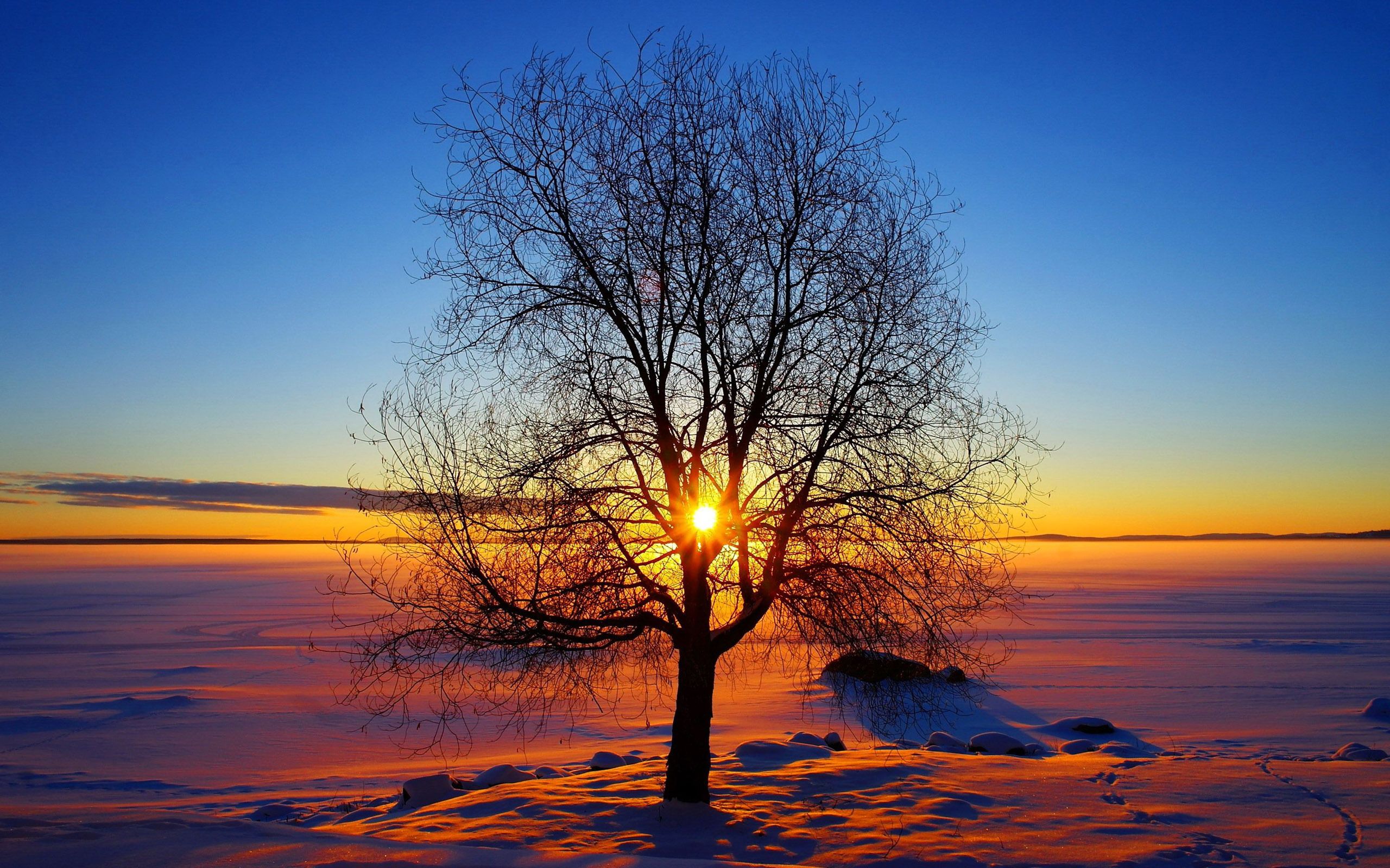 Low Winter Sun Wallpapers