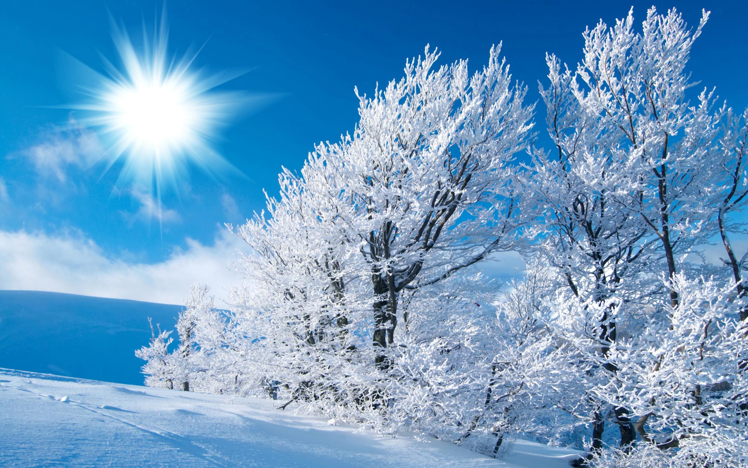 Low Winter Sun Wallpapers