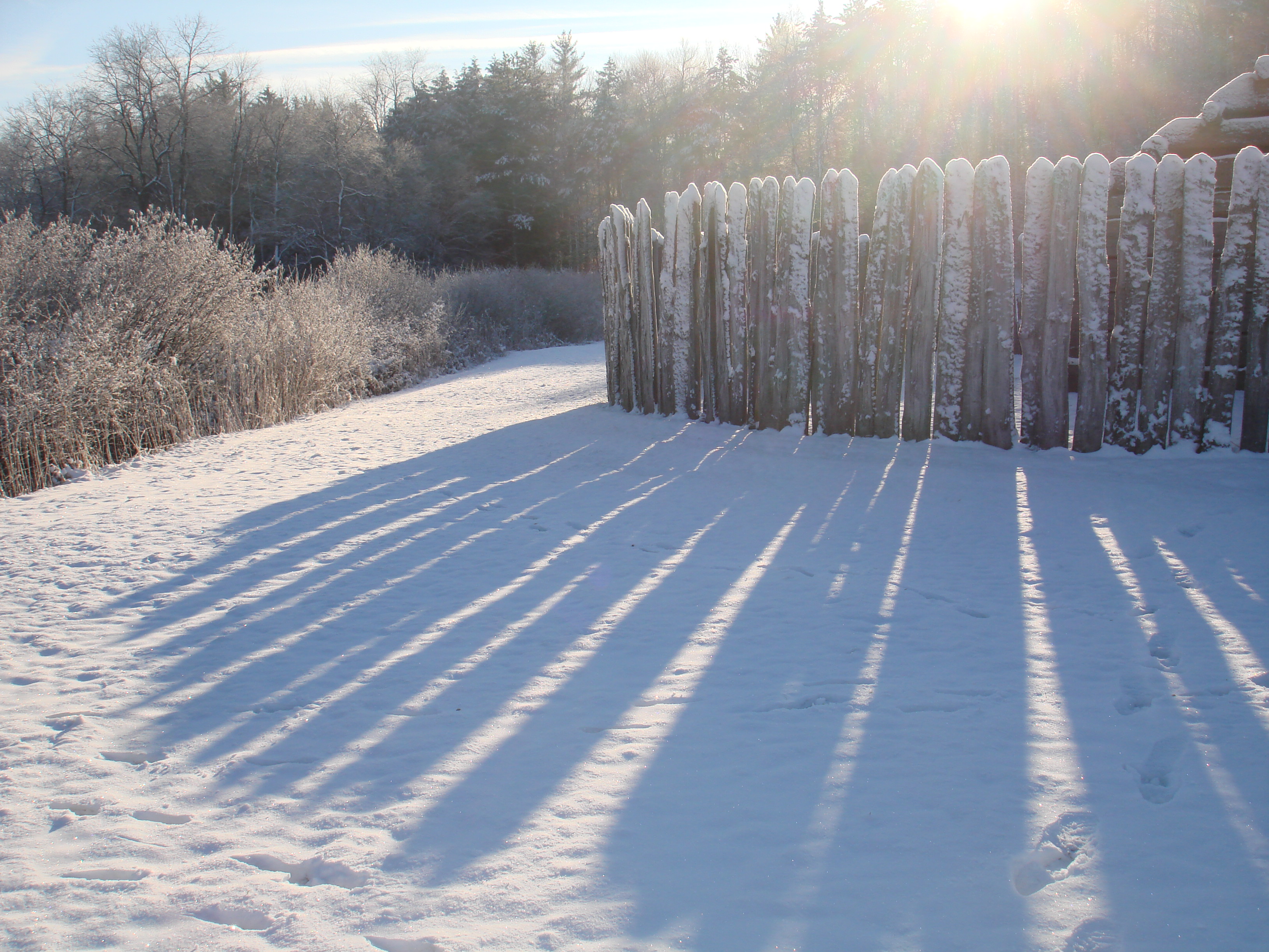 Low Winter Sun (Us) Wallpapers