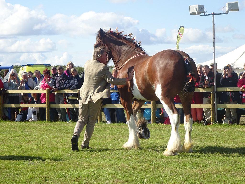 Martin Clunes: Horsepower Wallpapers