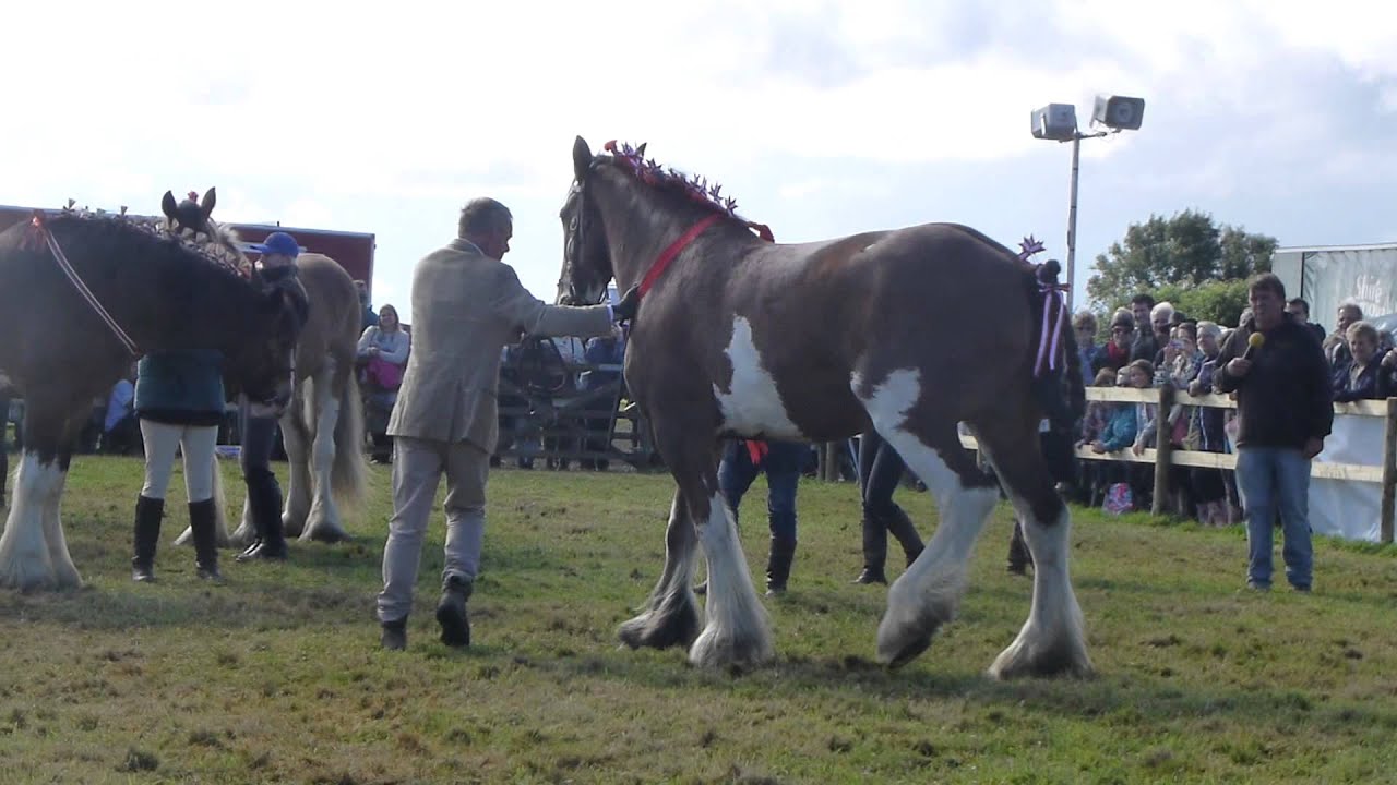 Martin Clunes: Horsepower Wallpapers