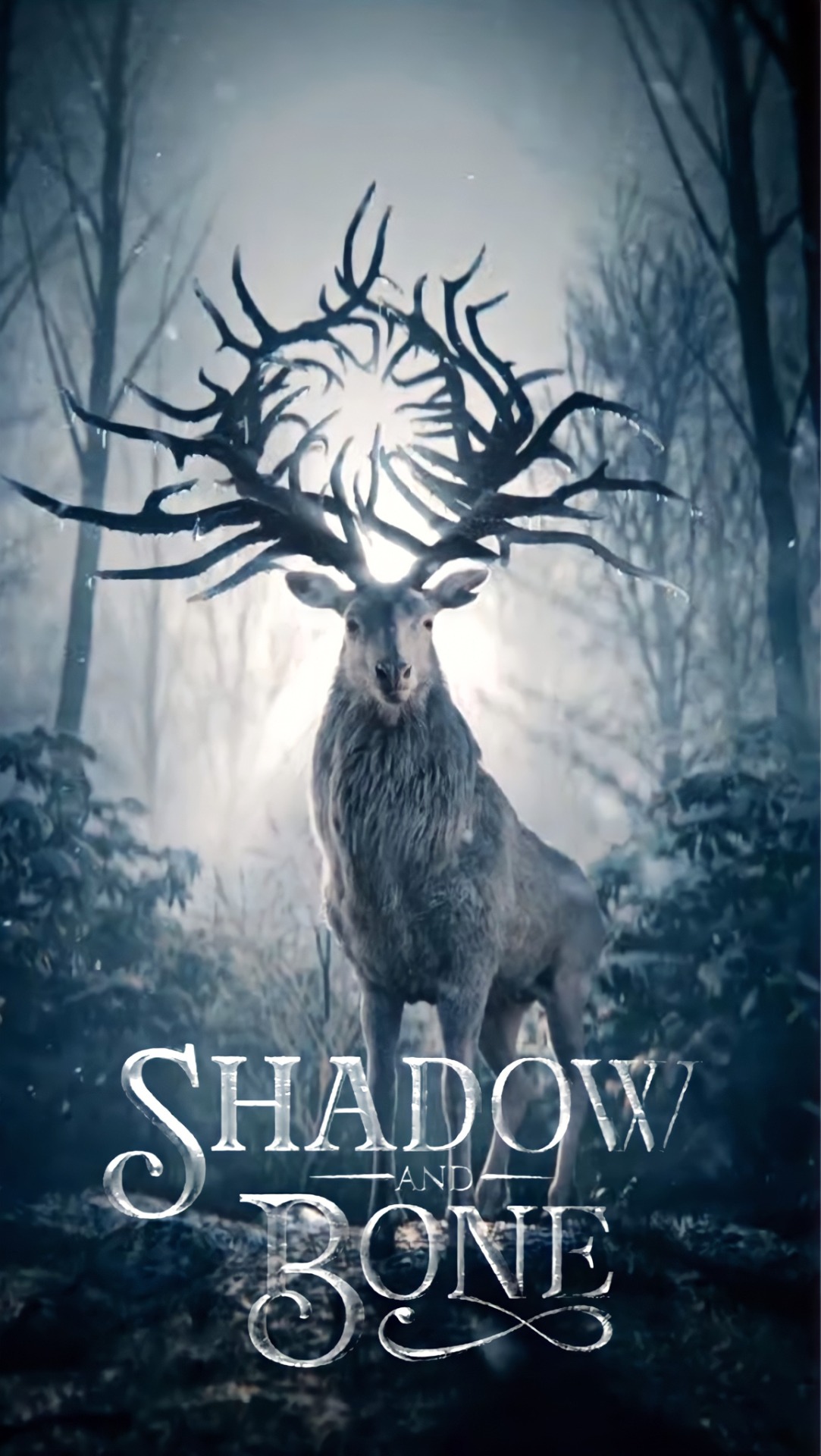 Poster Of Shadow And Bone Wallpapers