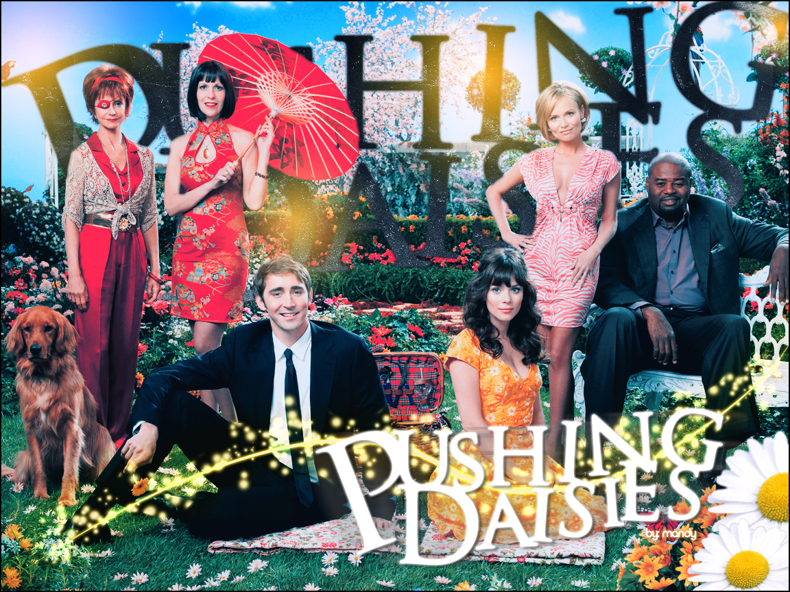 Pushing Daisies Wallpapers