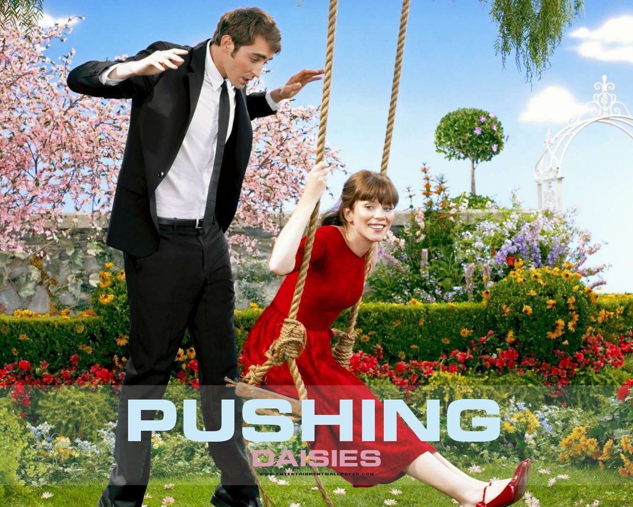 Pushing Daisies Wallpapers