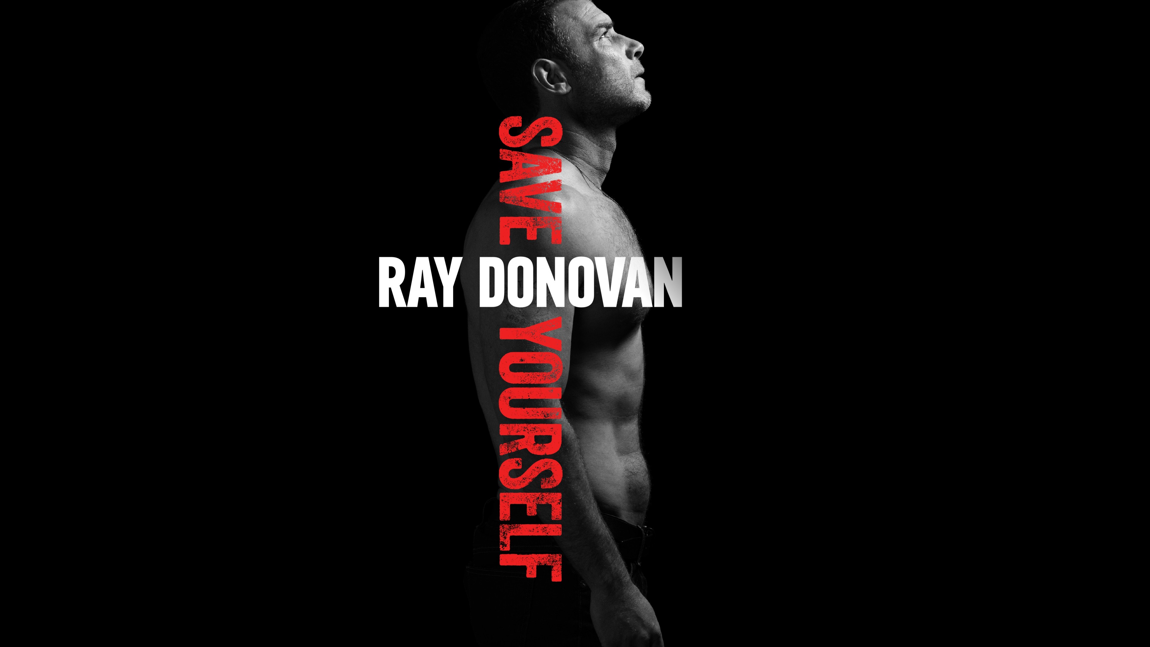 Ray Donovan Season 6 Wallpapers