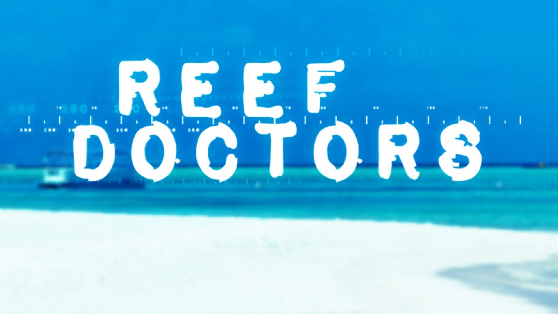 Reef Doctors Wallpapers