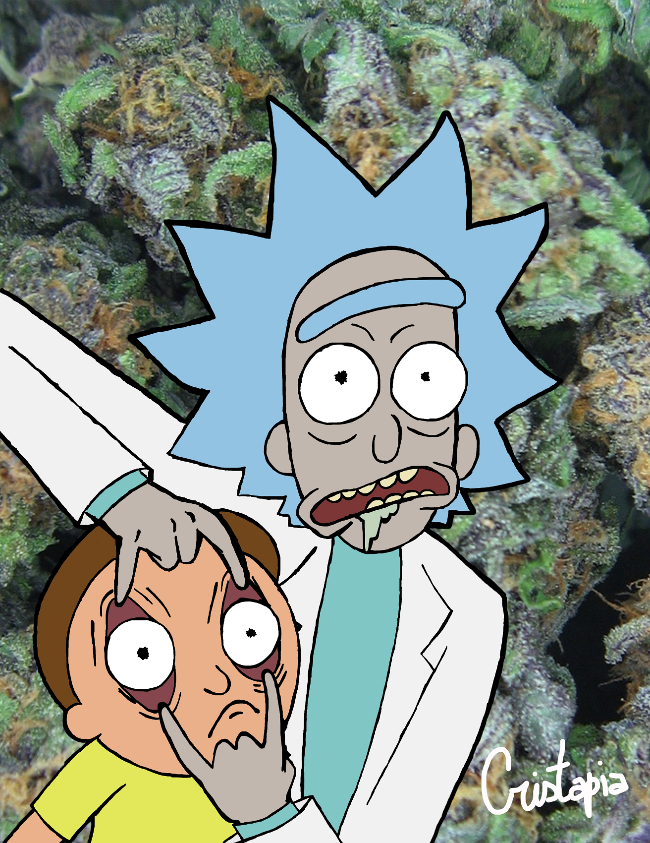 Rick And Morty Weed Wallpapers