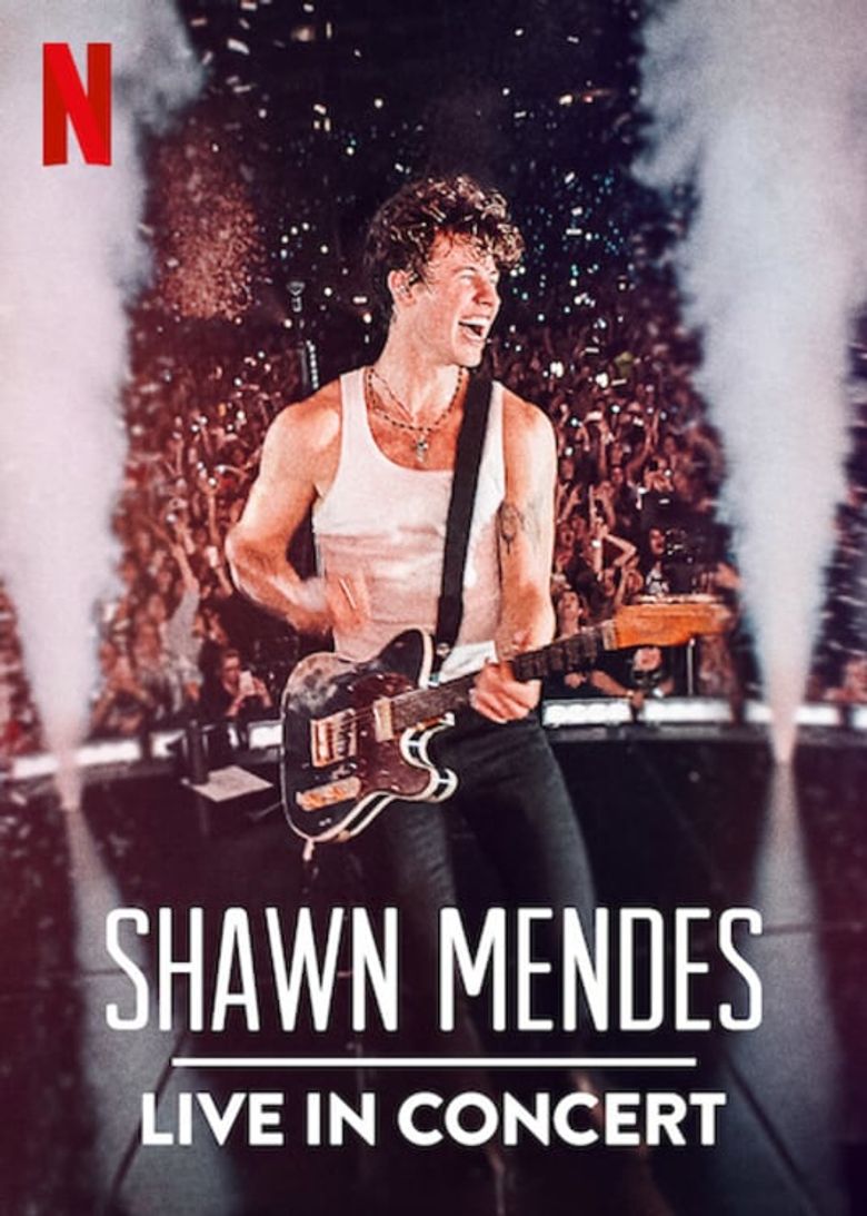 Shawn Mendes Netflix 2020 Wallpapers