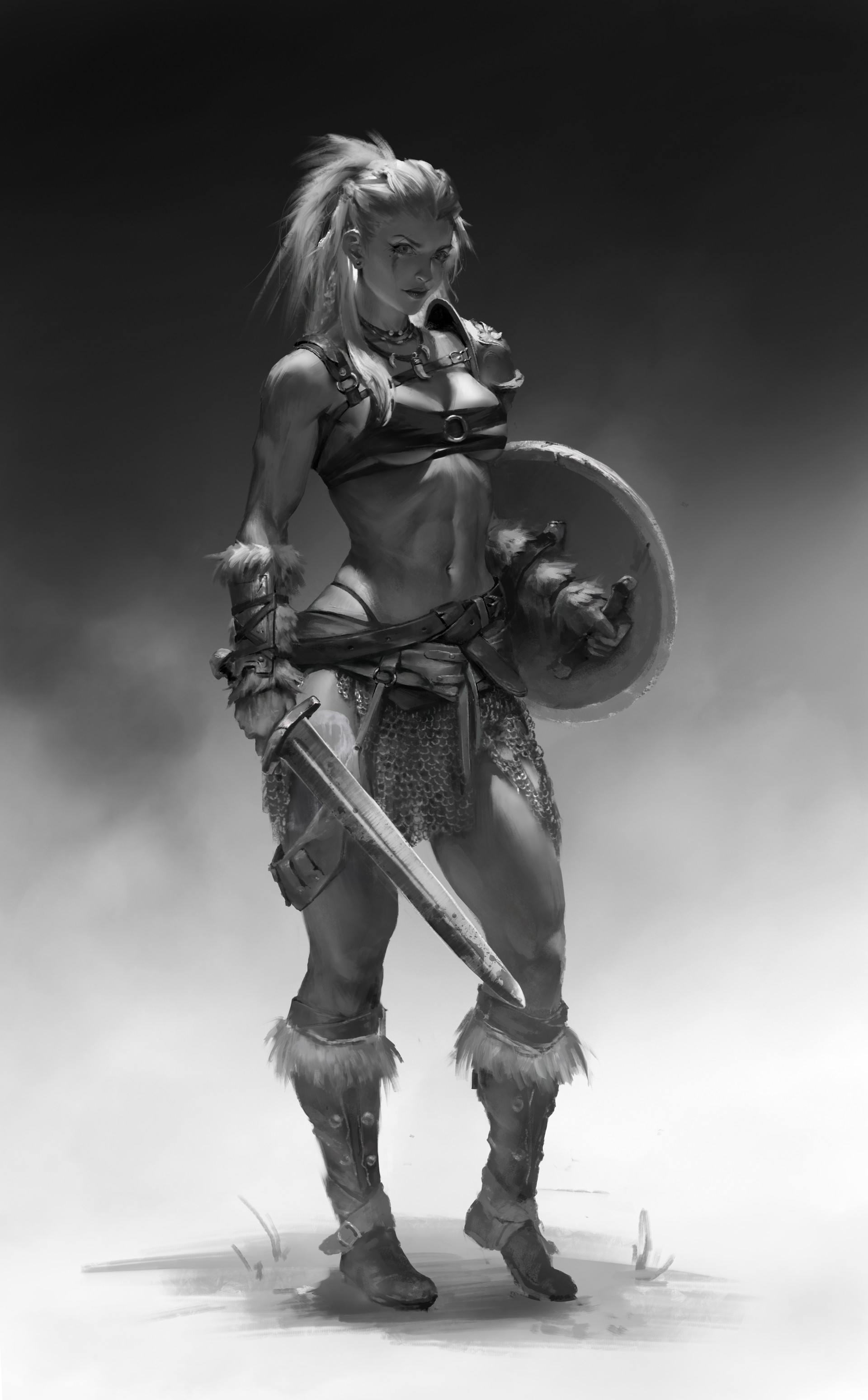 Shield Warrior Viking Fantasy Art Wallpapers