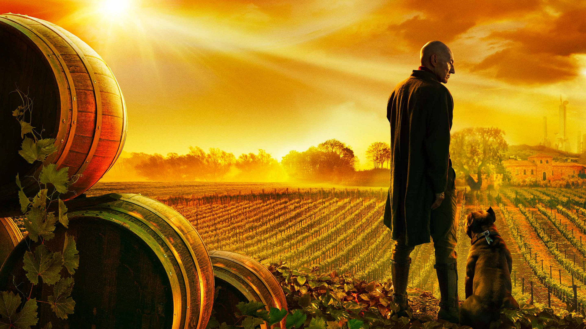 Star Trek Picard Wallpapers