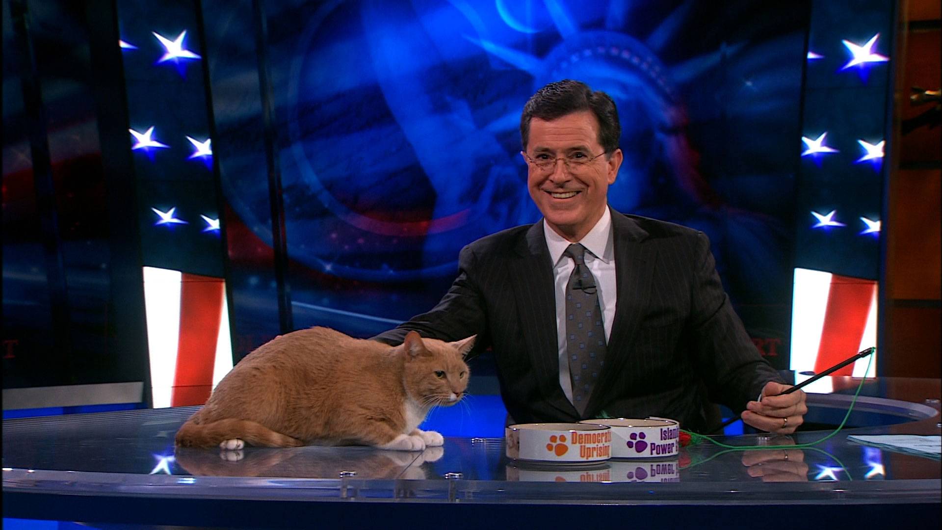 The Colbert Report Wallpapers