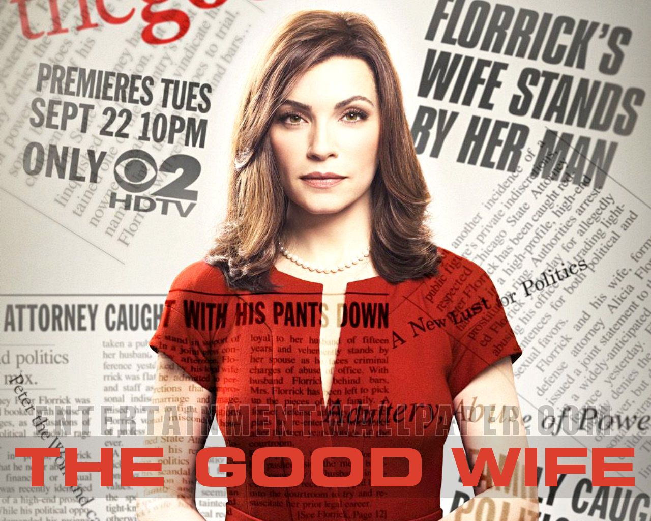 The Good Wife Wallpapers