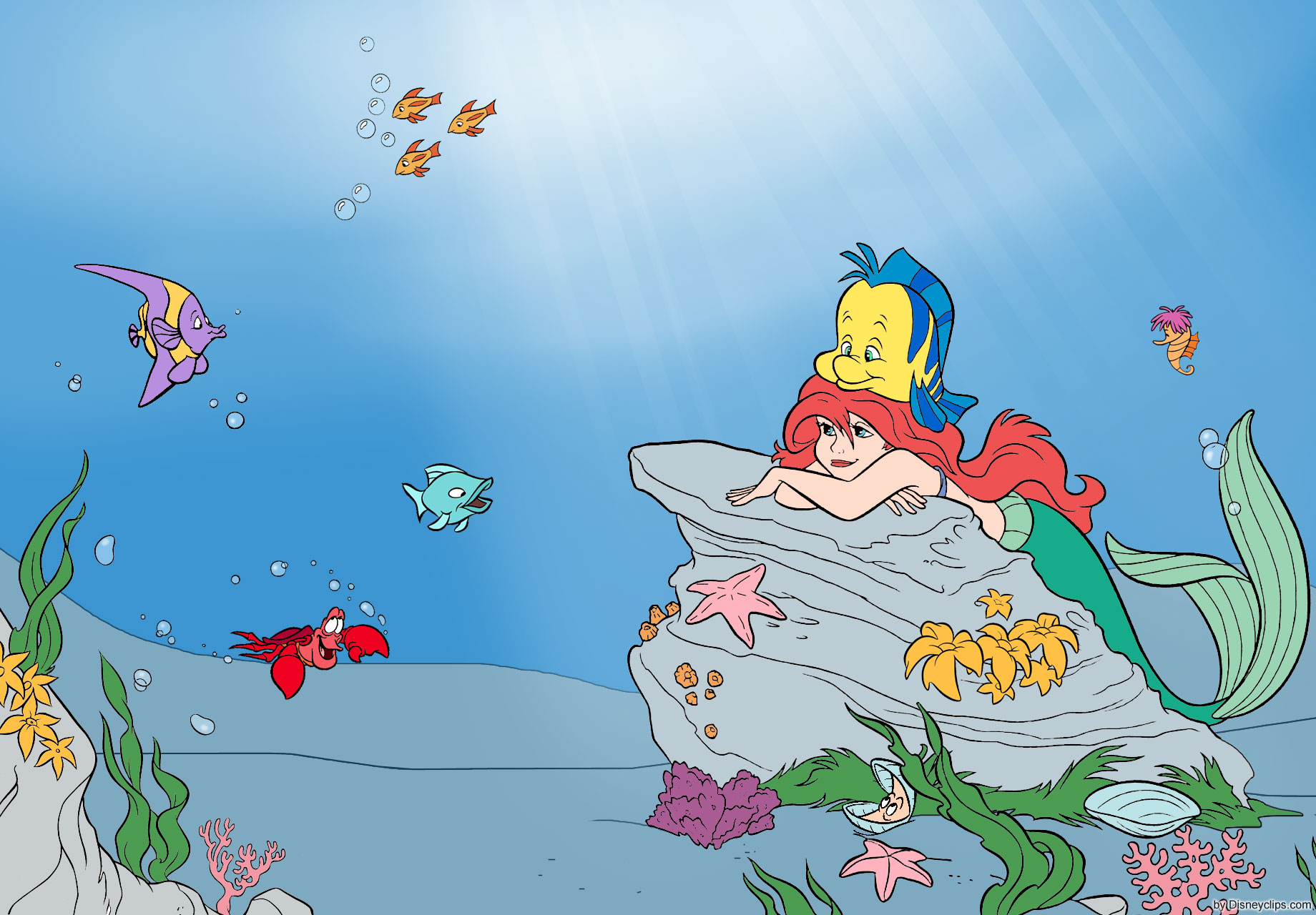 The Little Mermaid Wallpapers