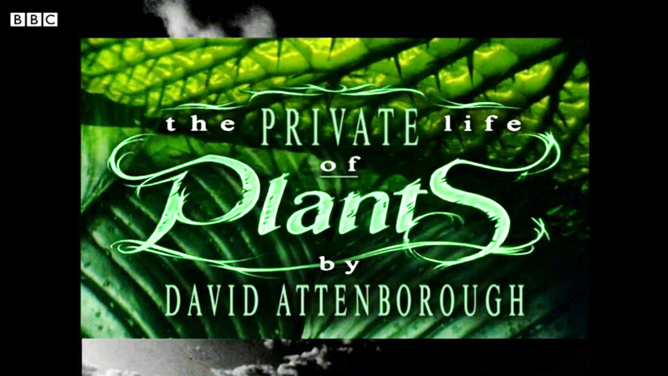 The Private Life Of Plants Wallpapers