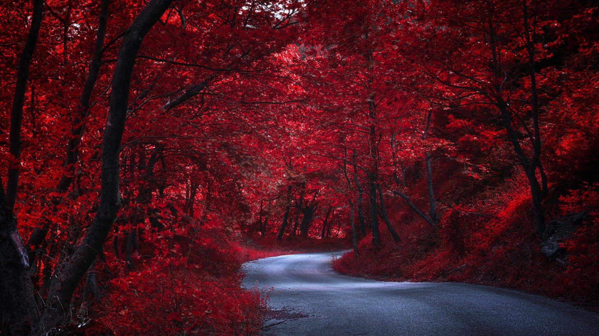 The Red Road Wallpapers