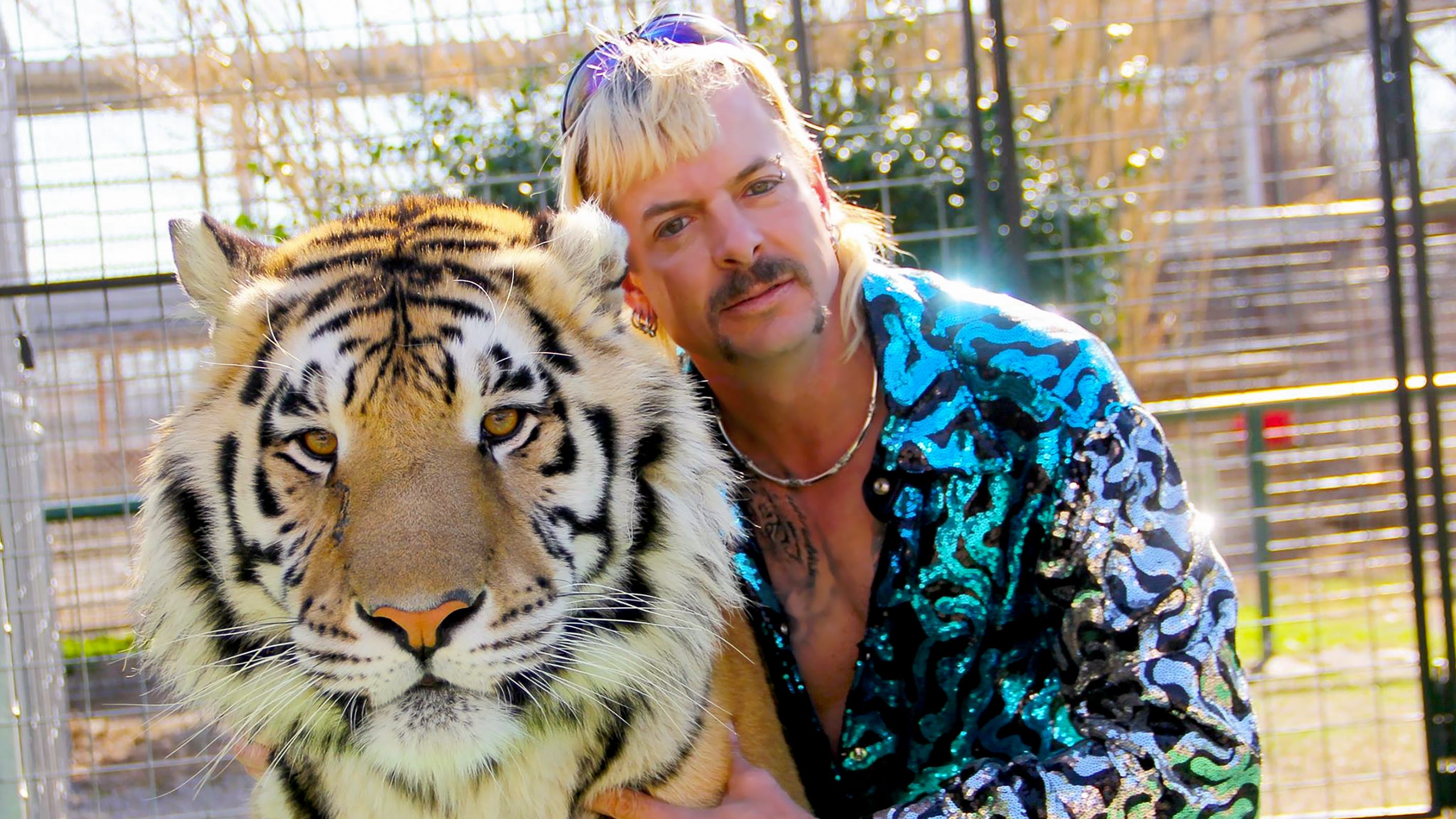 Tiger King Joe Exotic Wallpapers