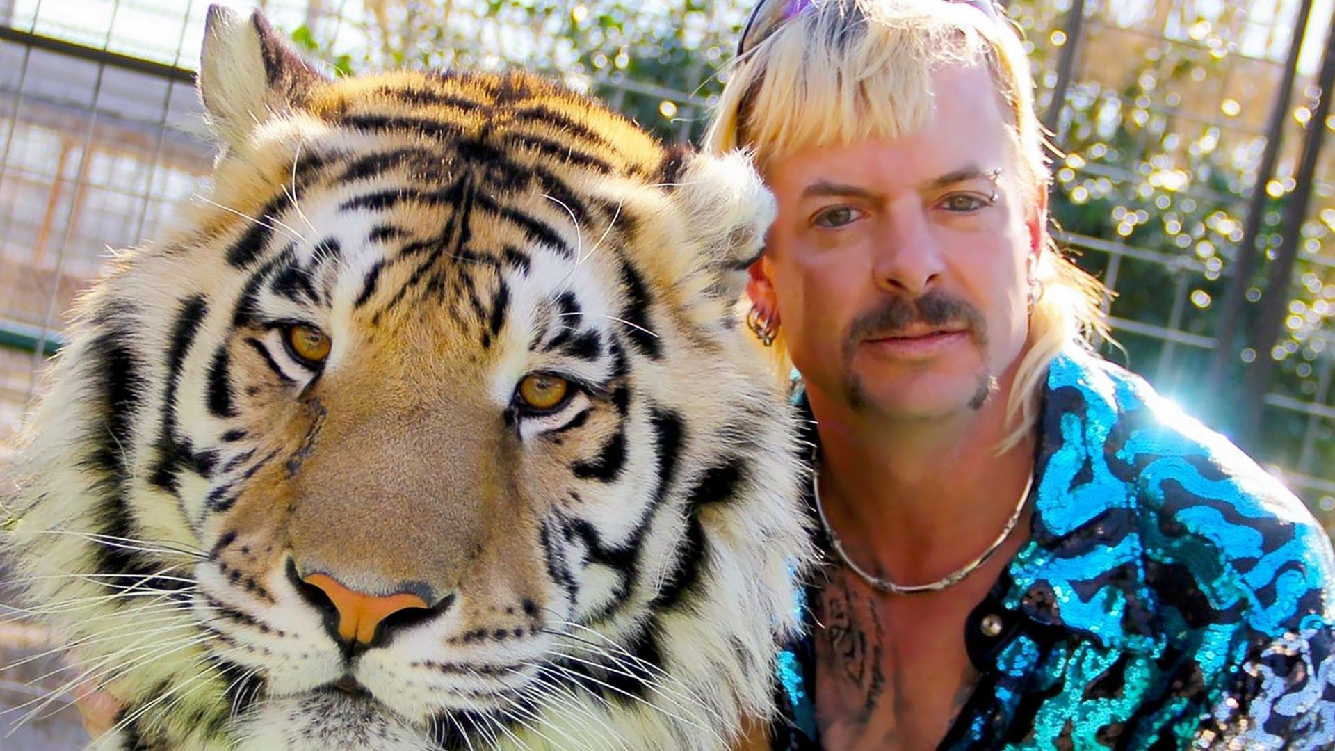 Tiger King Joe Exotic Wallpapers