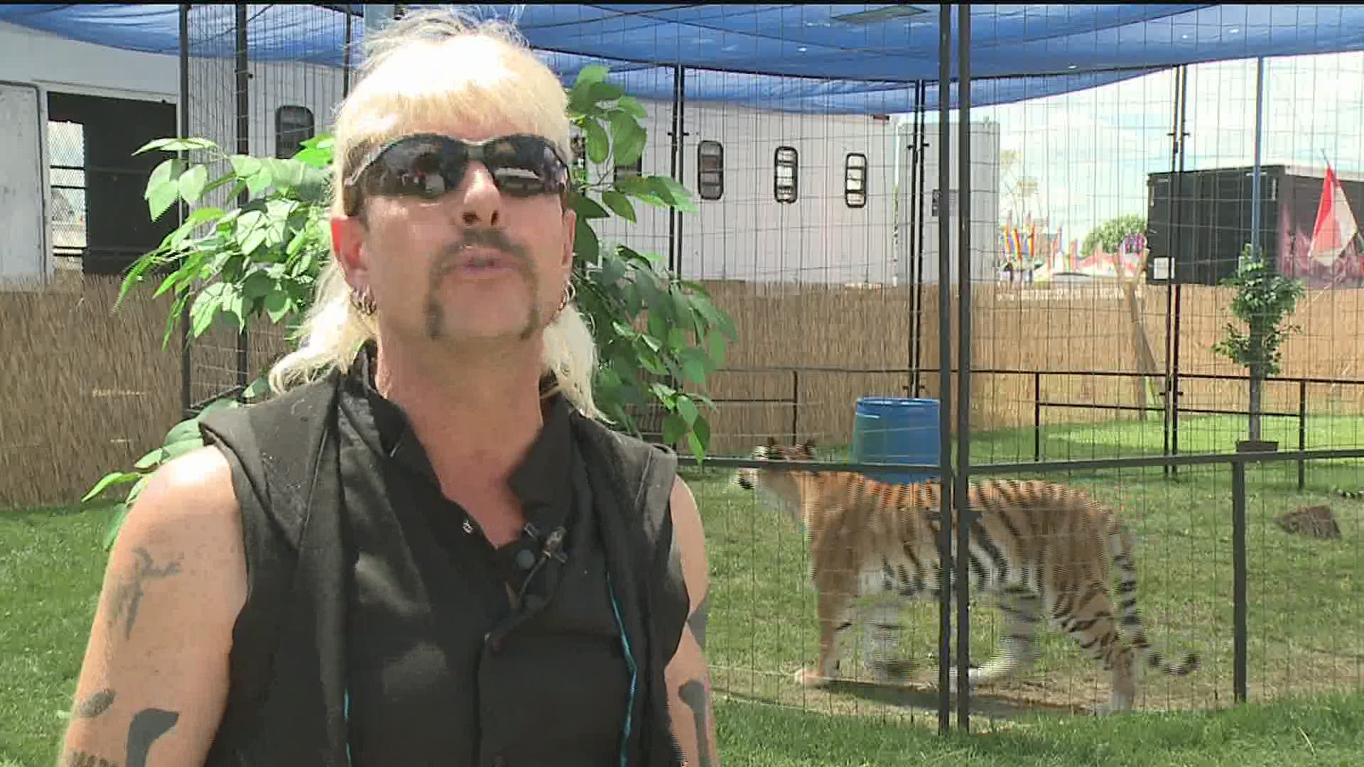 Tiger King Joe Exotic Wallpapers