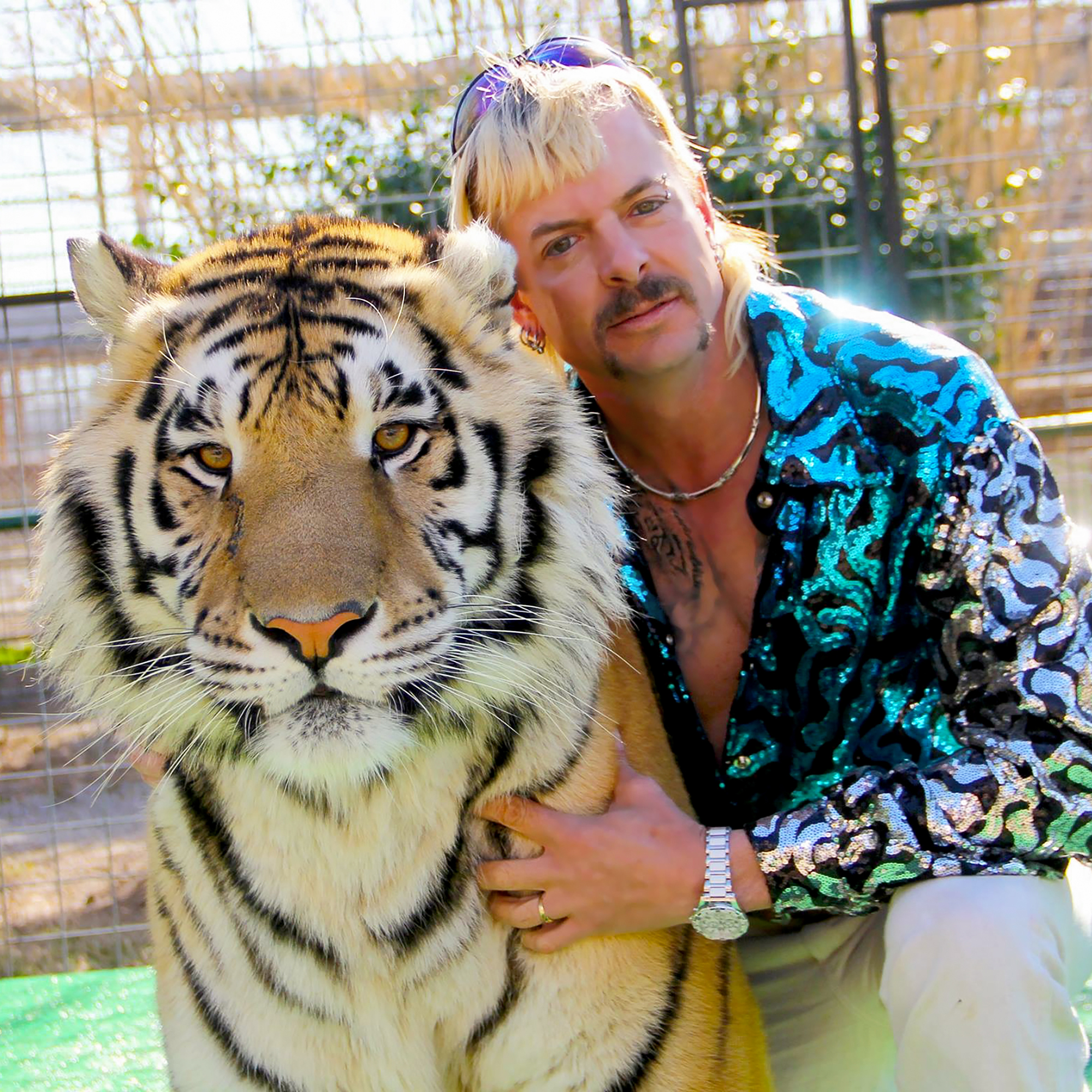 Tiger King Joe Exotic Wallpapers