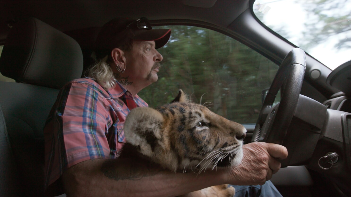 Tiger King Joe Exotic Wallpapers