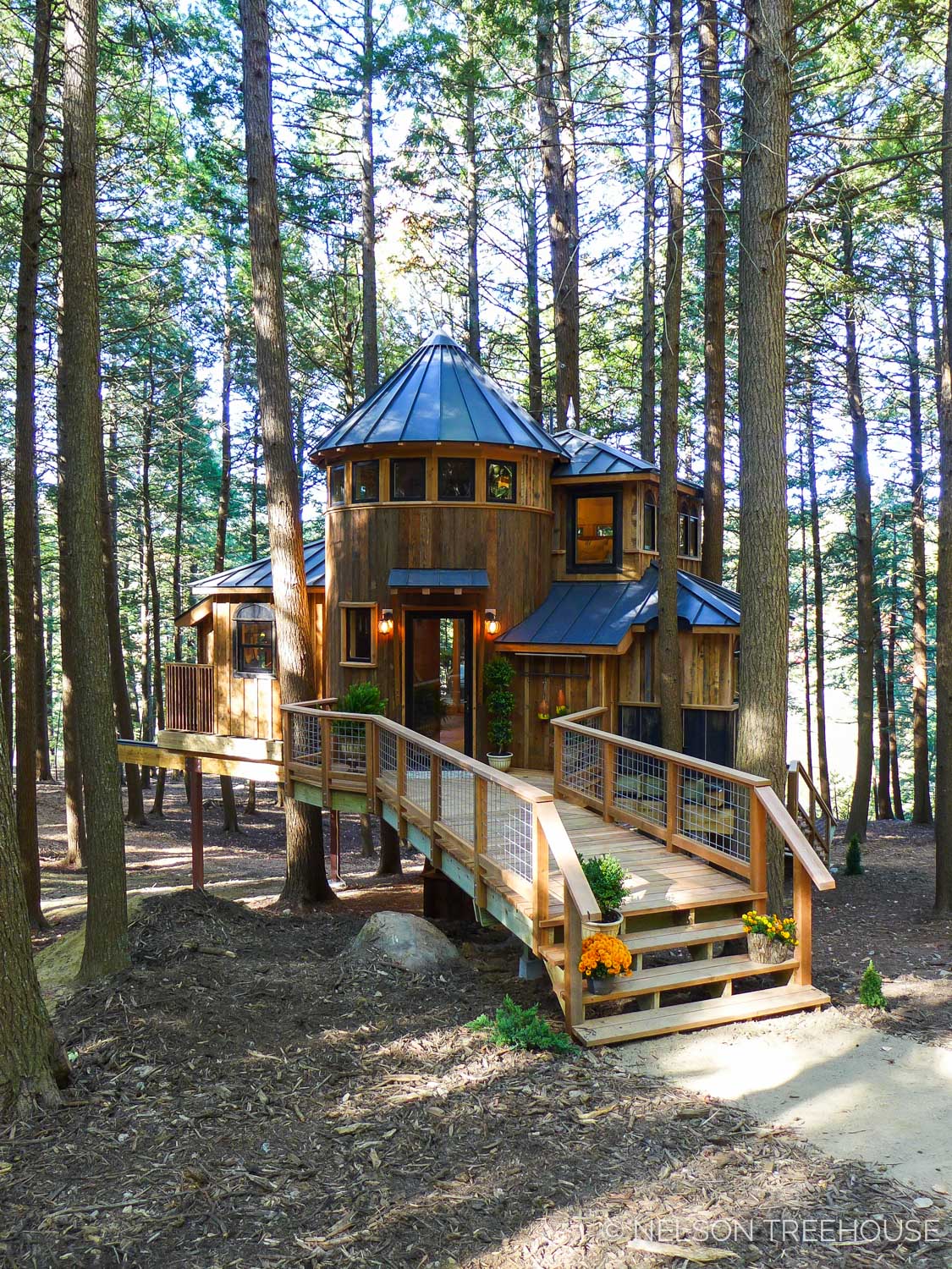 Treehouse Masters Wallpapers