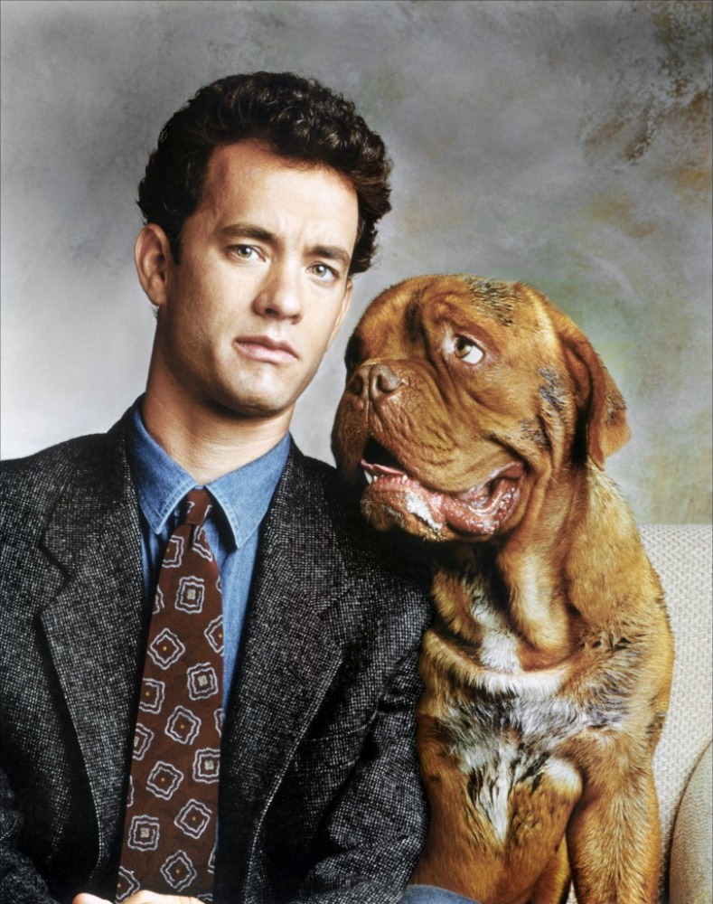 Turner & Hooch Wallpapers