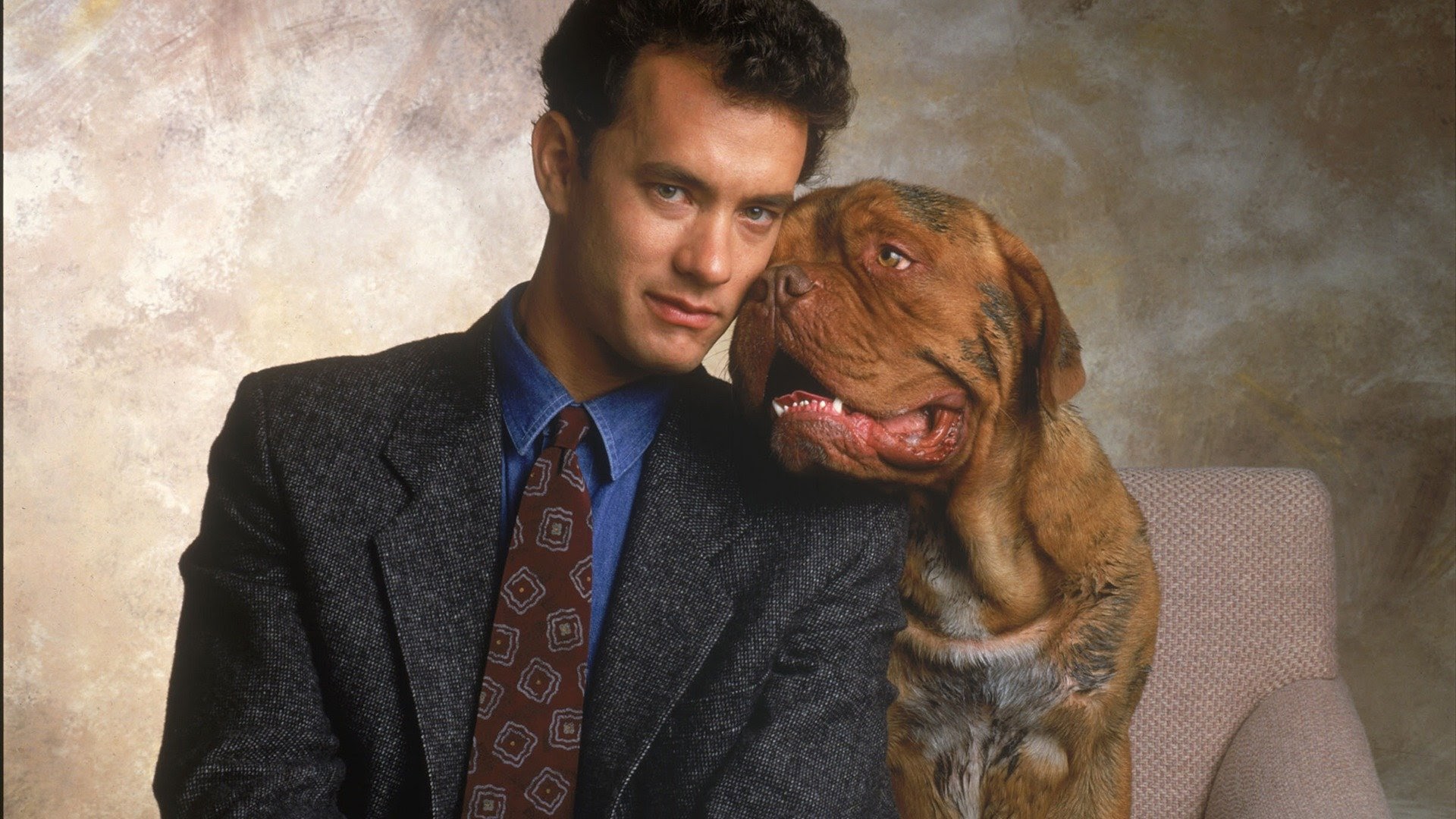 Turner & Hooch Wallpapers