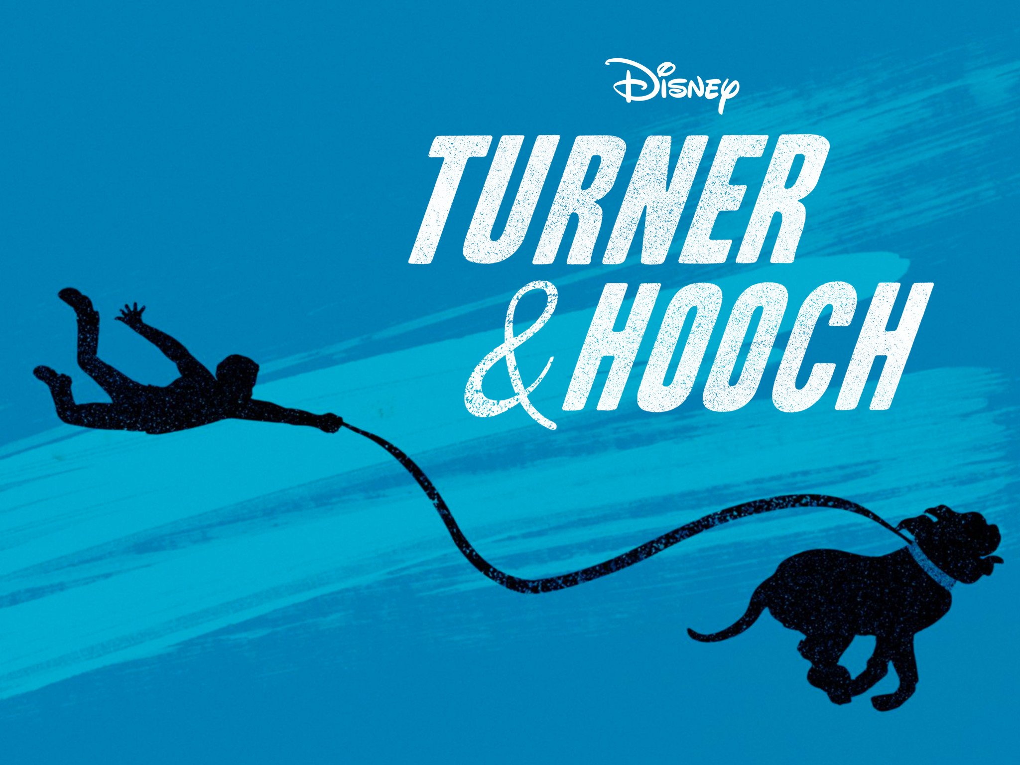 Turner &Amp; Hooch 2021 Wallpapers