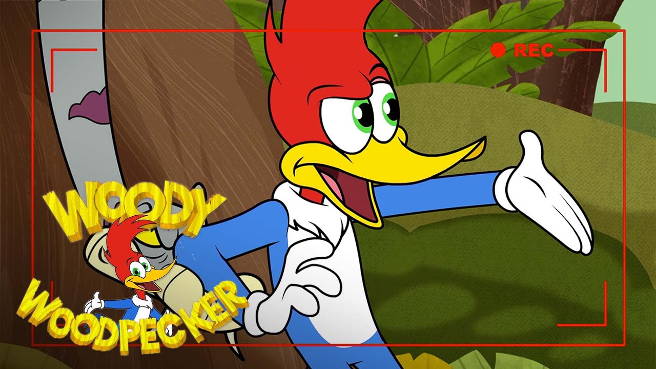 Woody Woodpecker Wallpapers