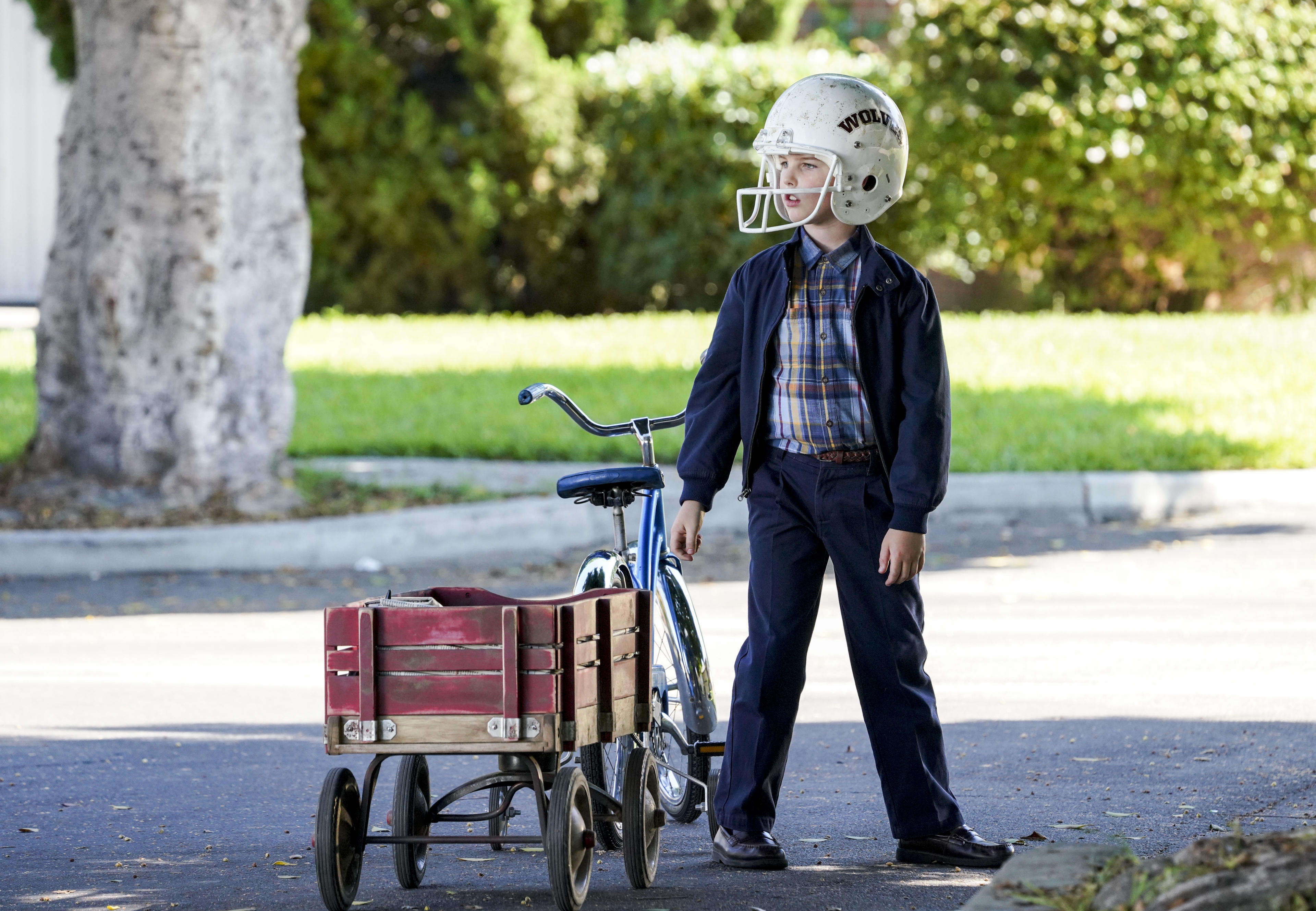 Young Sheldon Wallpapers