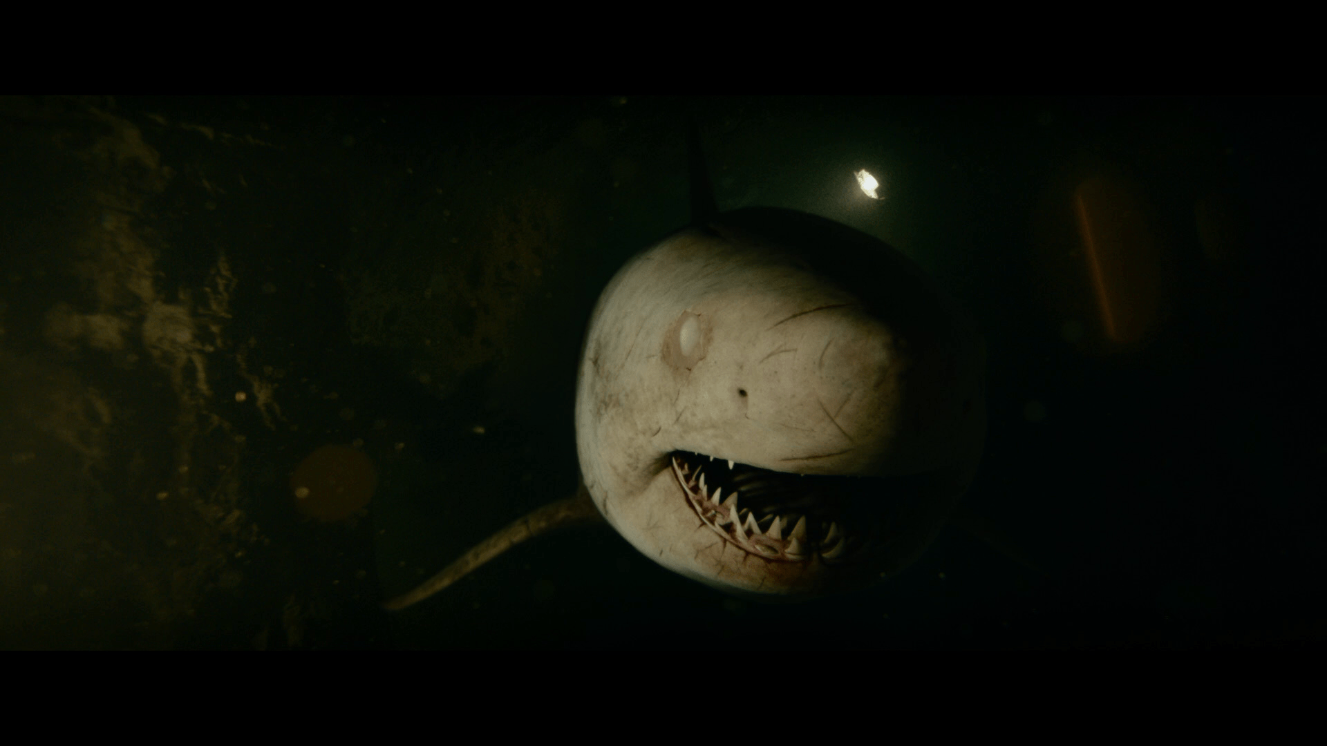 47 Meters Down Uncaged Wallpapers