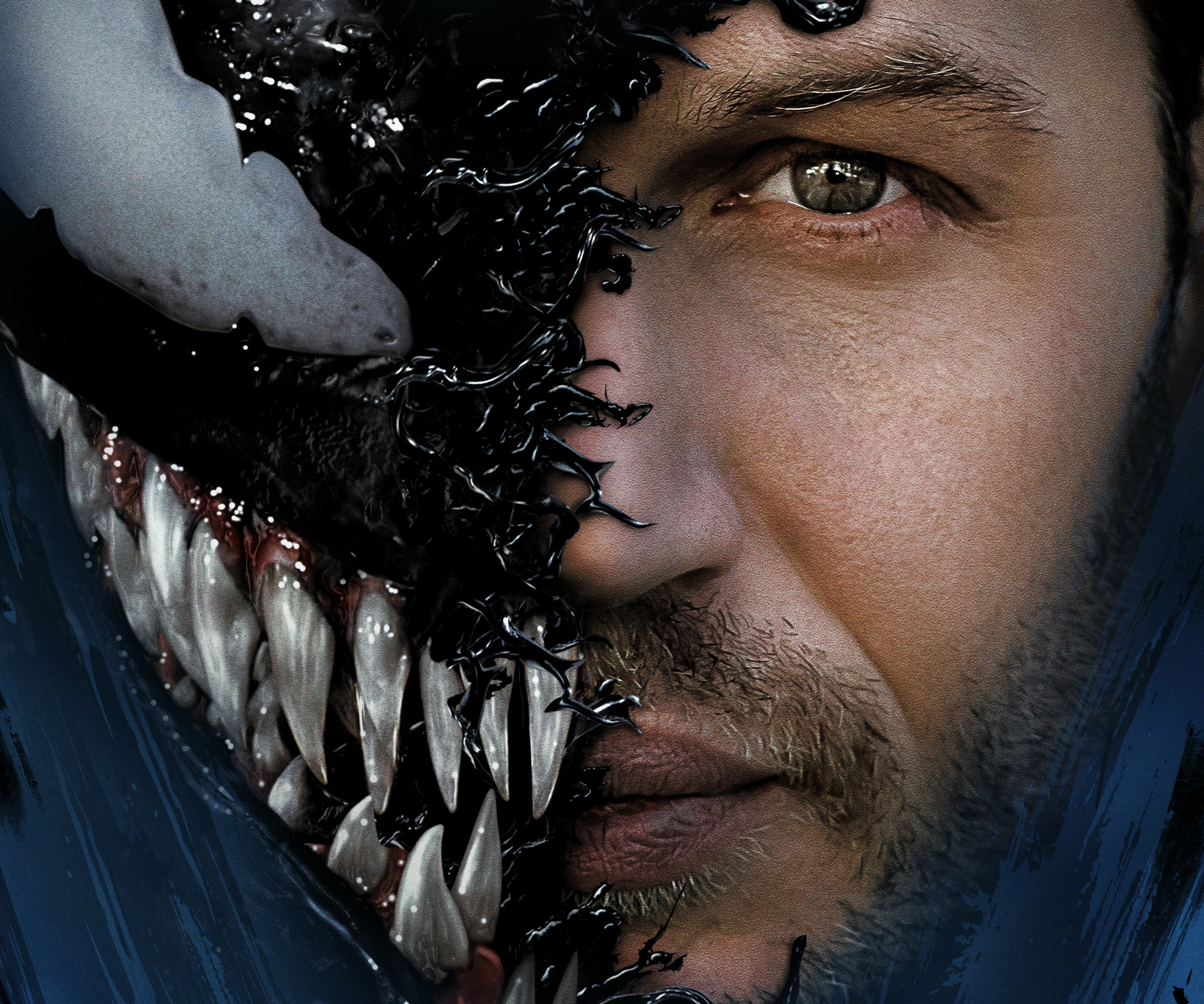 4K Venom 2 Cool Hd Movie Wallpapers