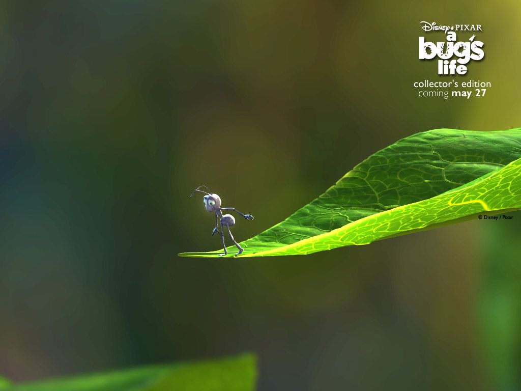 A Bug'S Life Wallpapers