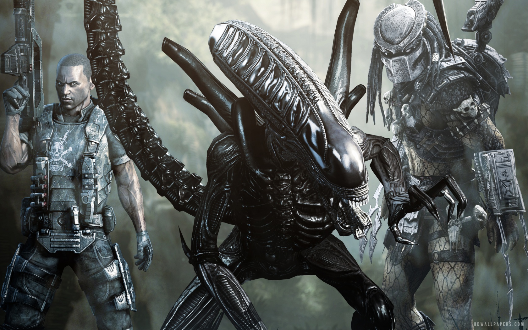 Alien Vs Predator Wallpapers