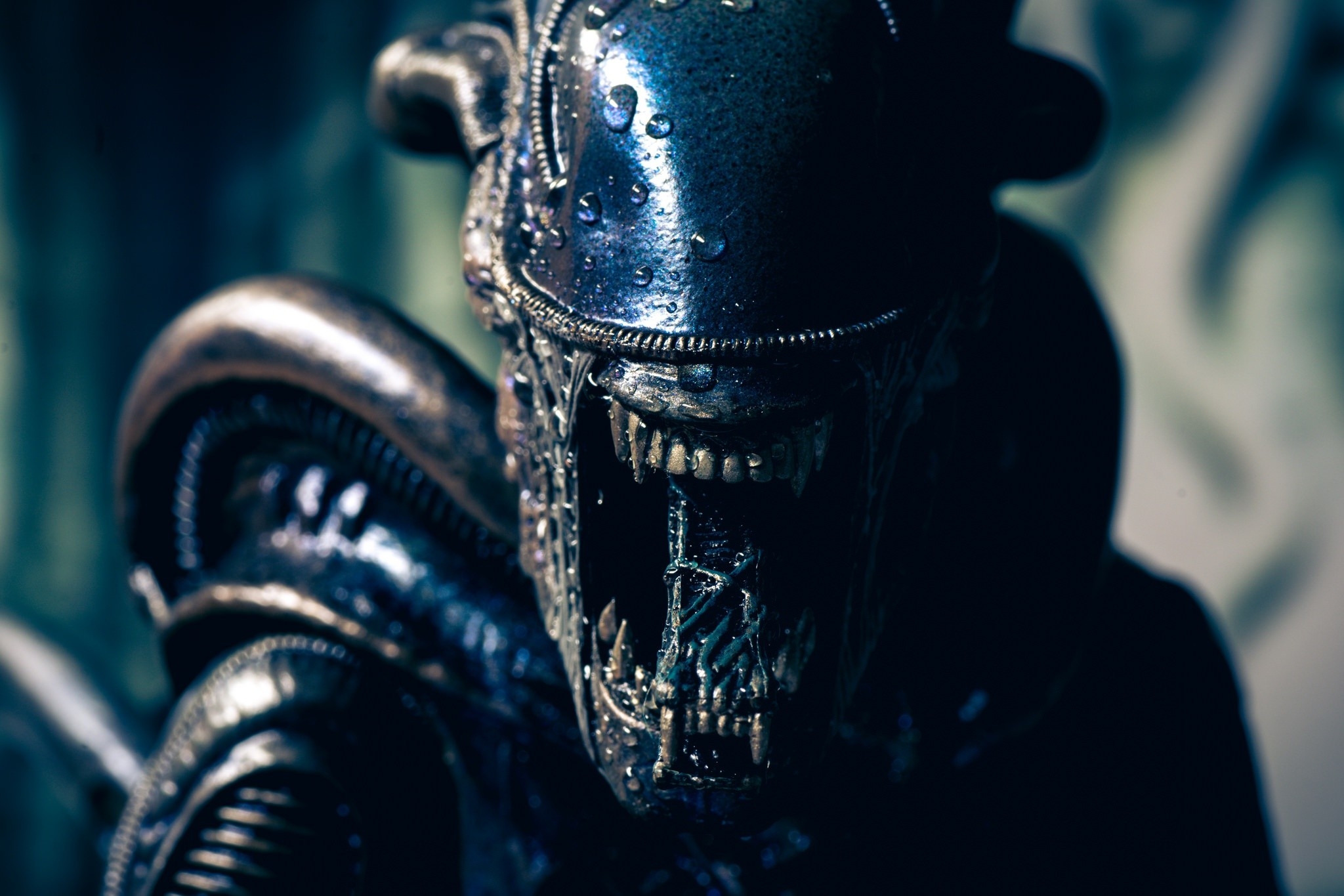 Alien Vs Predator Wallpapers