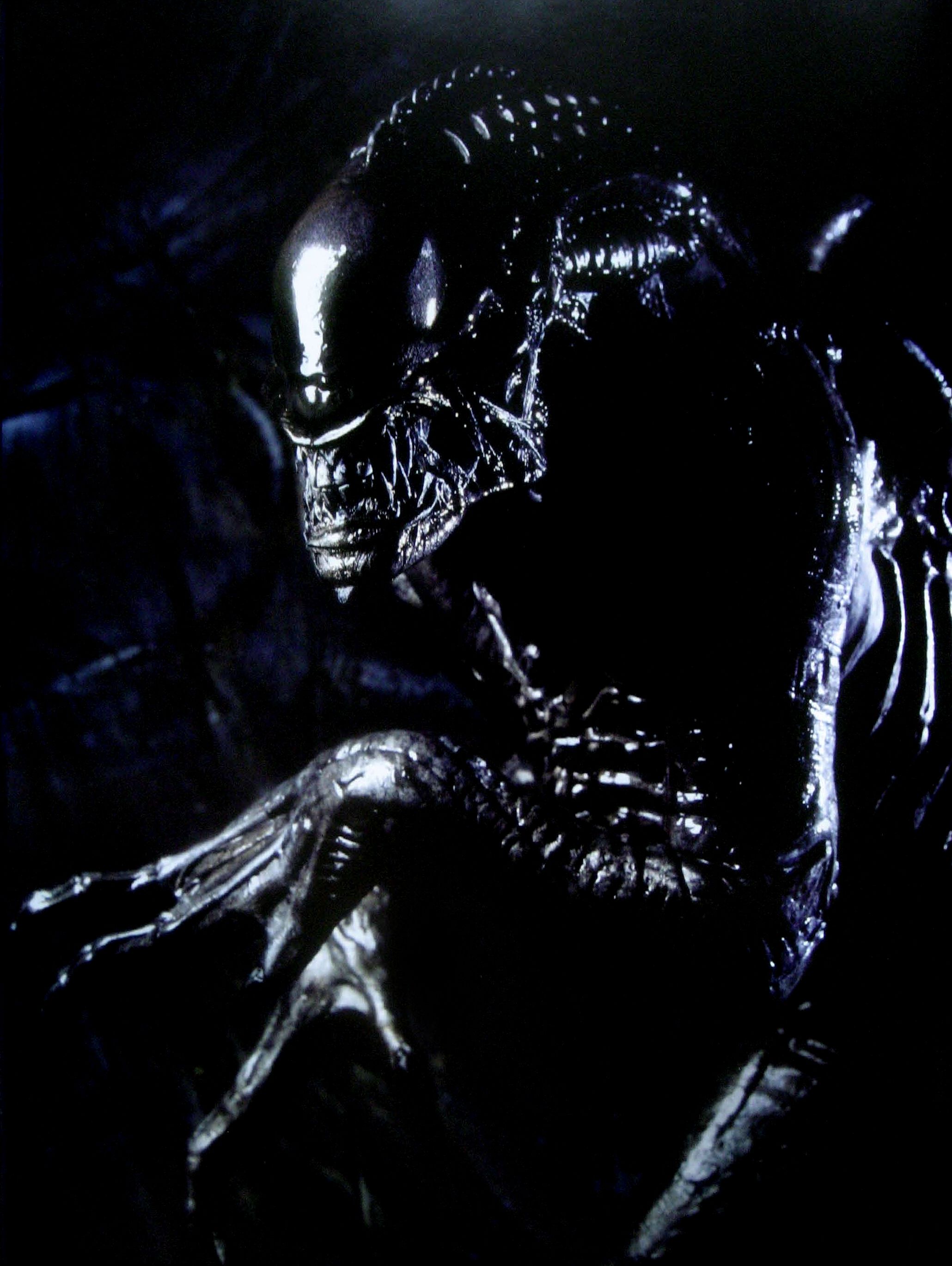 Aliens Vs. Predator: Requiem Wallpapers