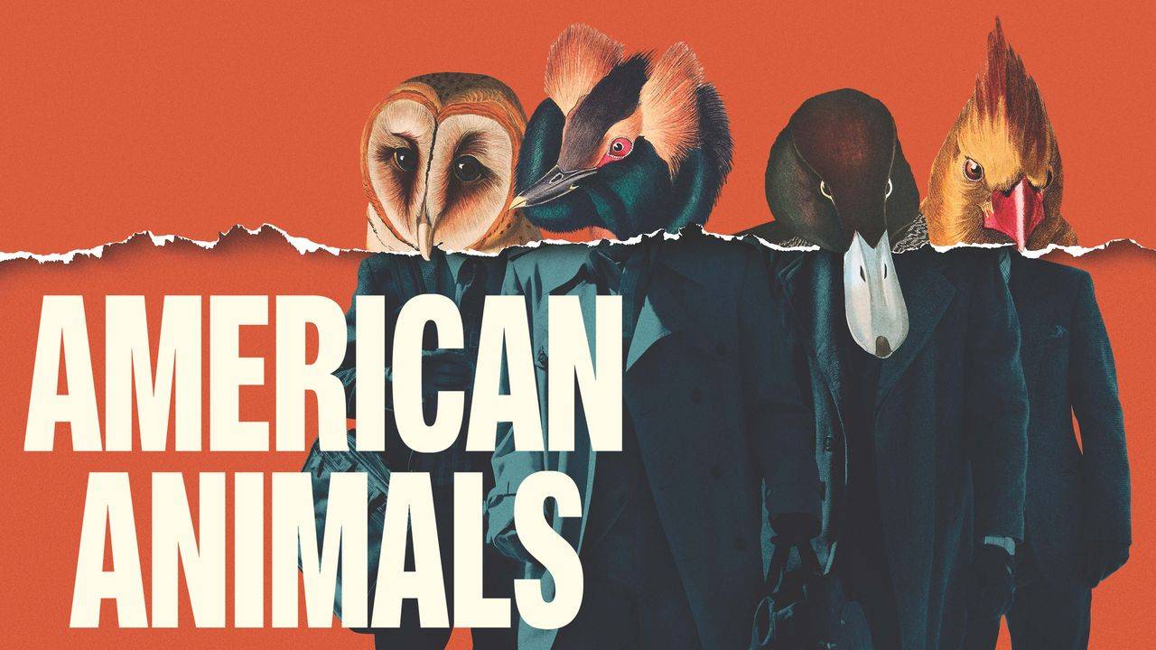 American Animals 2018 Movie Poster Wallpapers