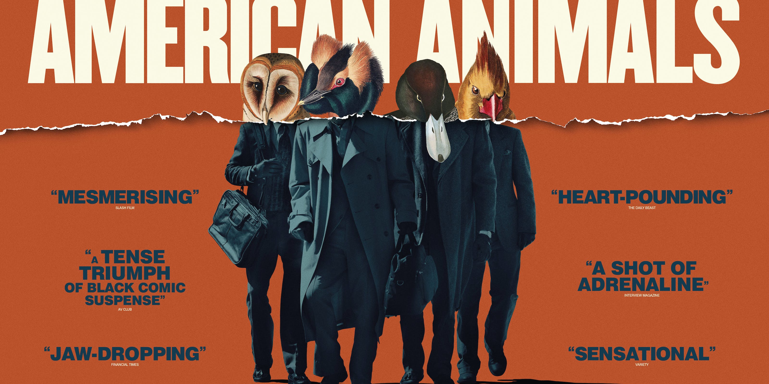 American Animals 2018 Movie Poster Wallpapers