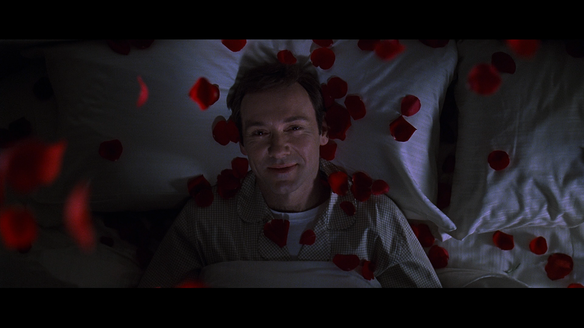 American Beauty Wallpapers