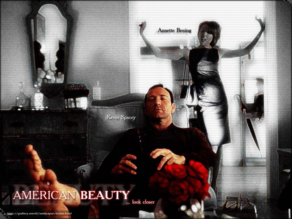 American Beauty Wallpapers