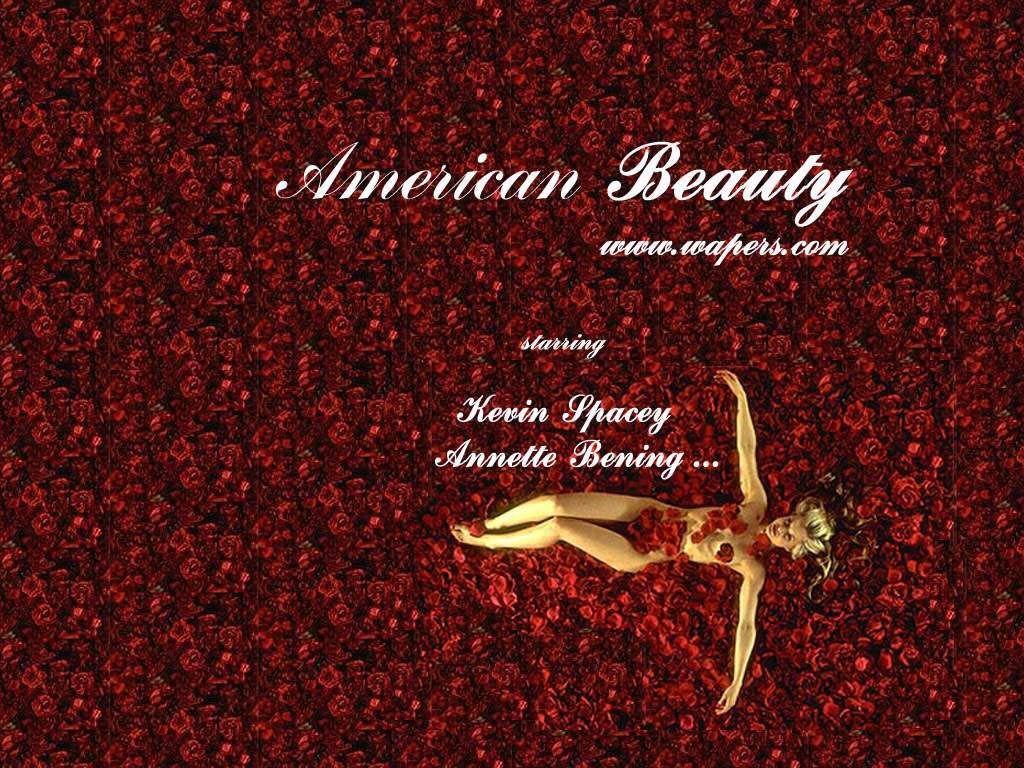 American Beauty Wallpapers