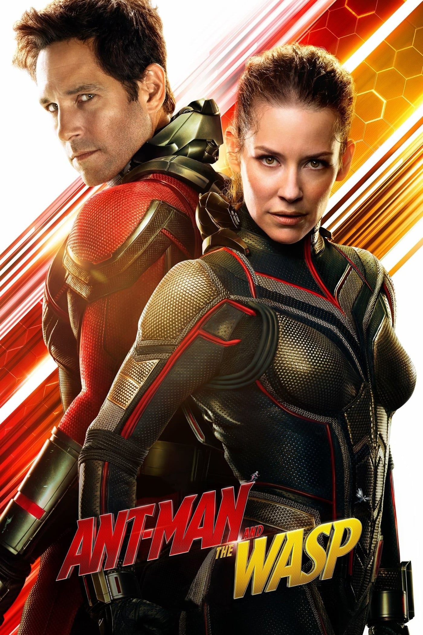 Ant Man 2018 Movie Wallpapers