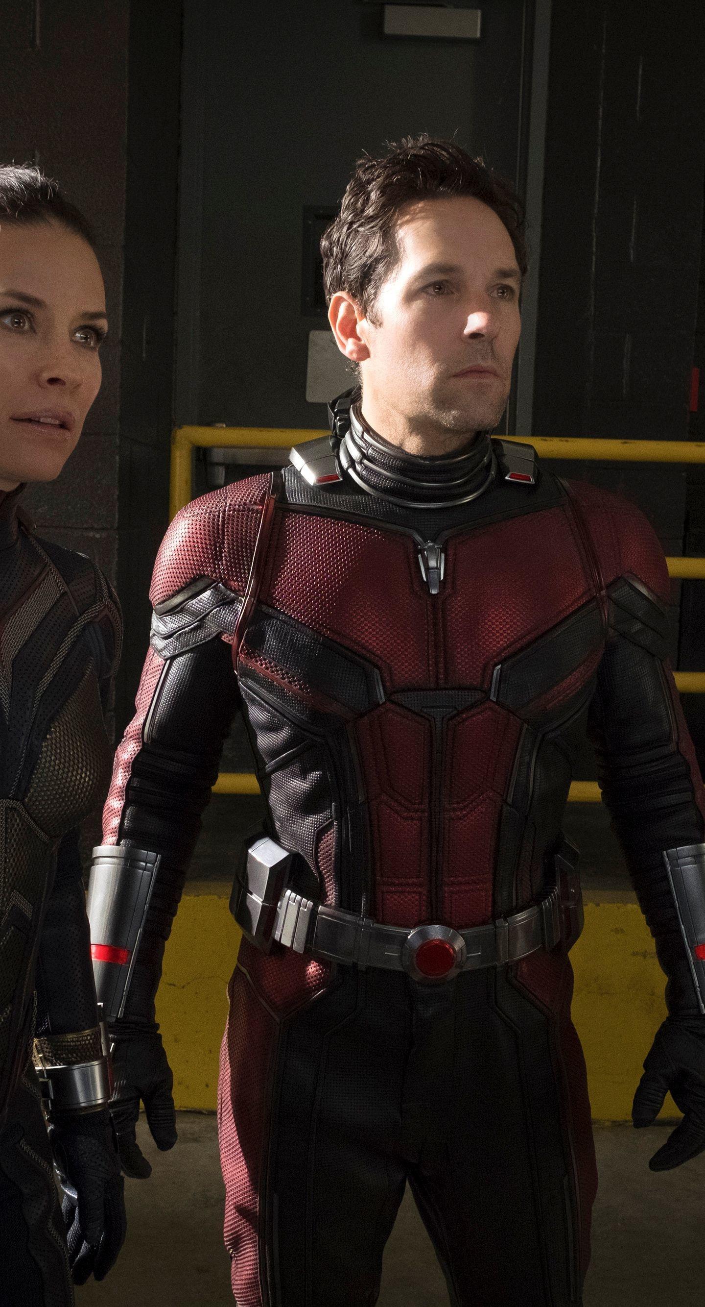 Ant Man 2018 Movie Wallpapers