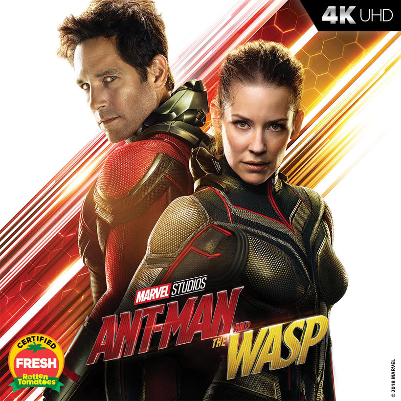 Ant-Man And The Wasp 2018 Poster Wallpapers