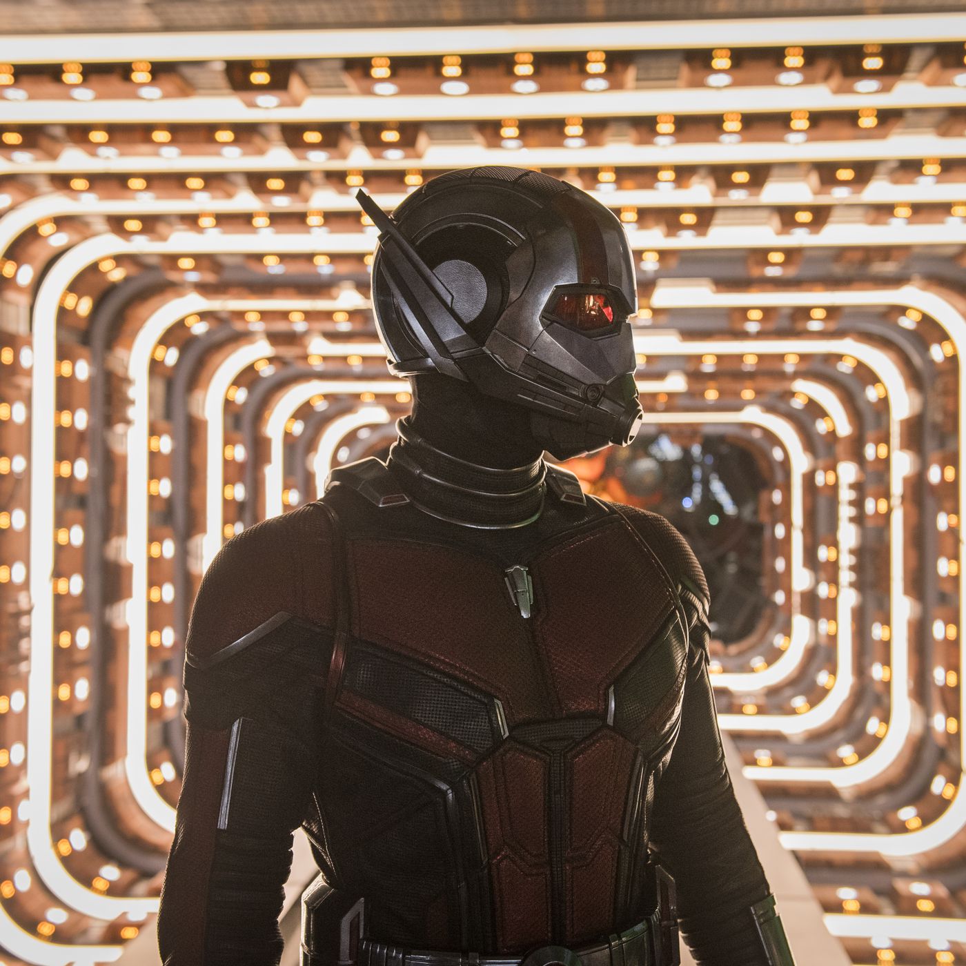 Ant-Man Riding Ant In Ant-Man And The Wasp Wallpapers