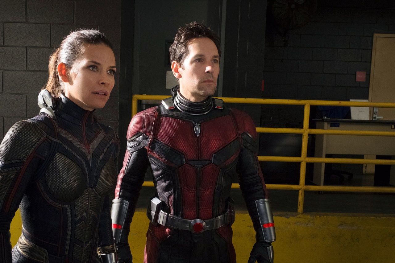 Ant-Man Riding Ant In Ant-Man And The Wasp Wallpapers