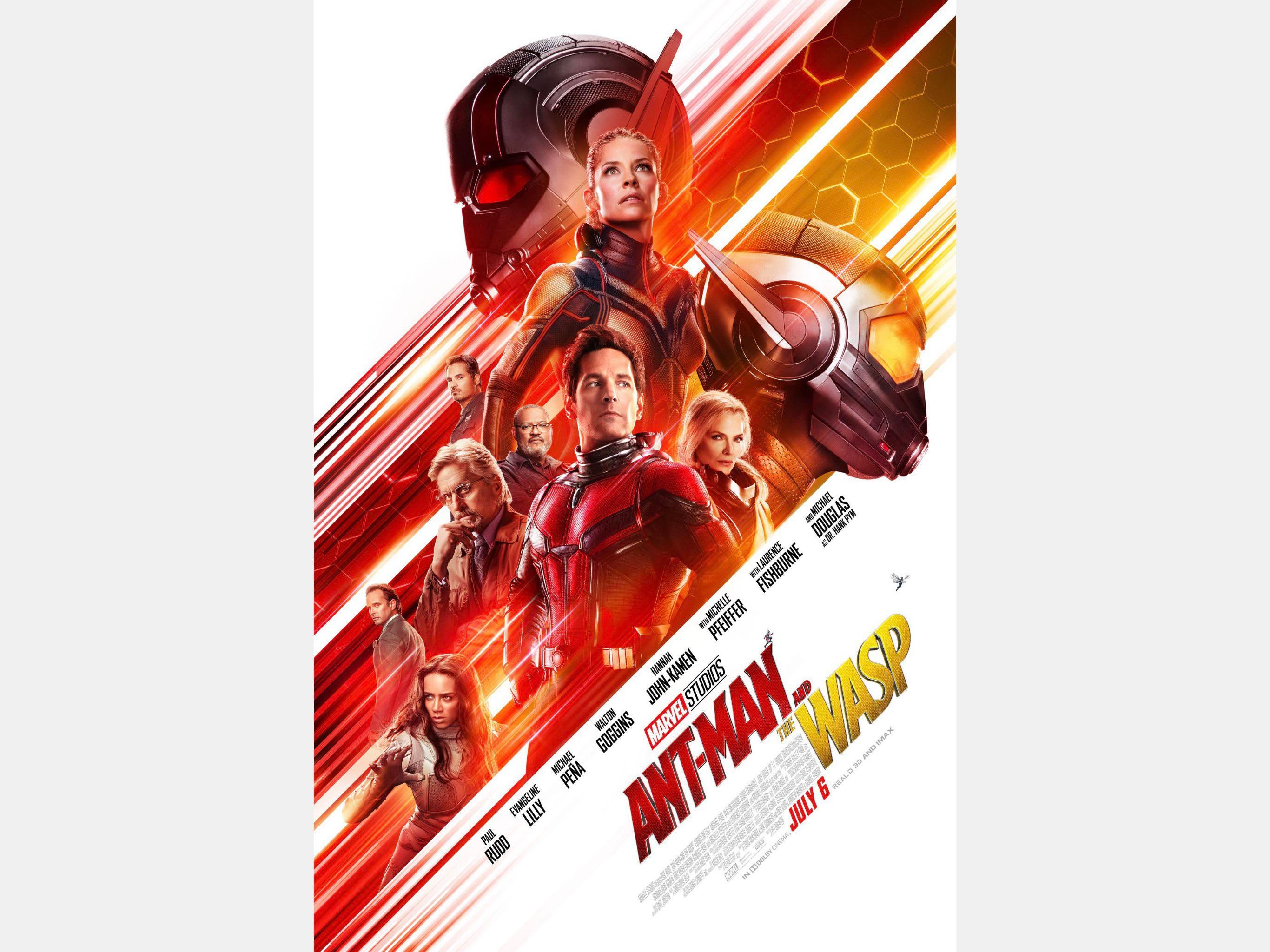 Ant-Man Riding Ant In Ant-Man And The Wasp Wallpapers