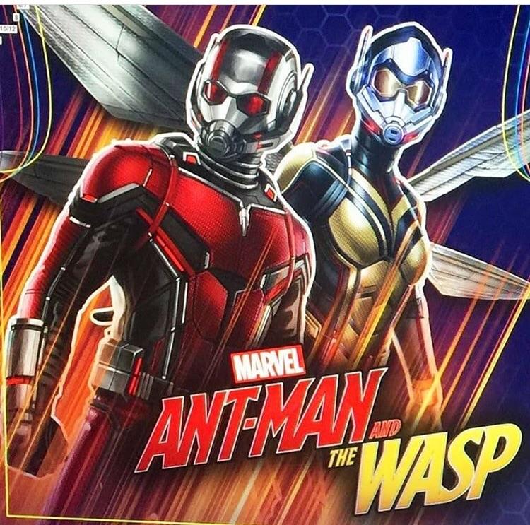 Ant-Man Riding Ant In Ant-Man And The Wasp Wallpapers