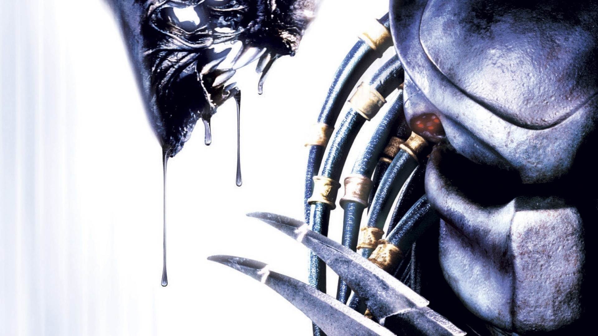 Avp: Alien Vs. Predator Wallpapers