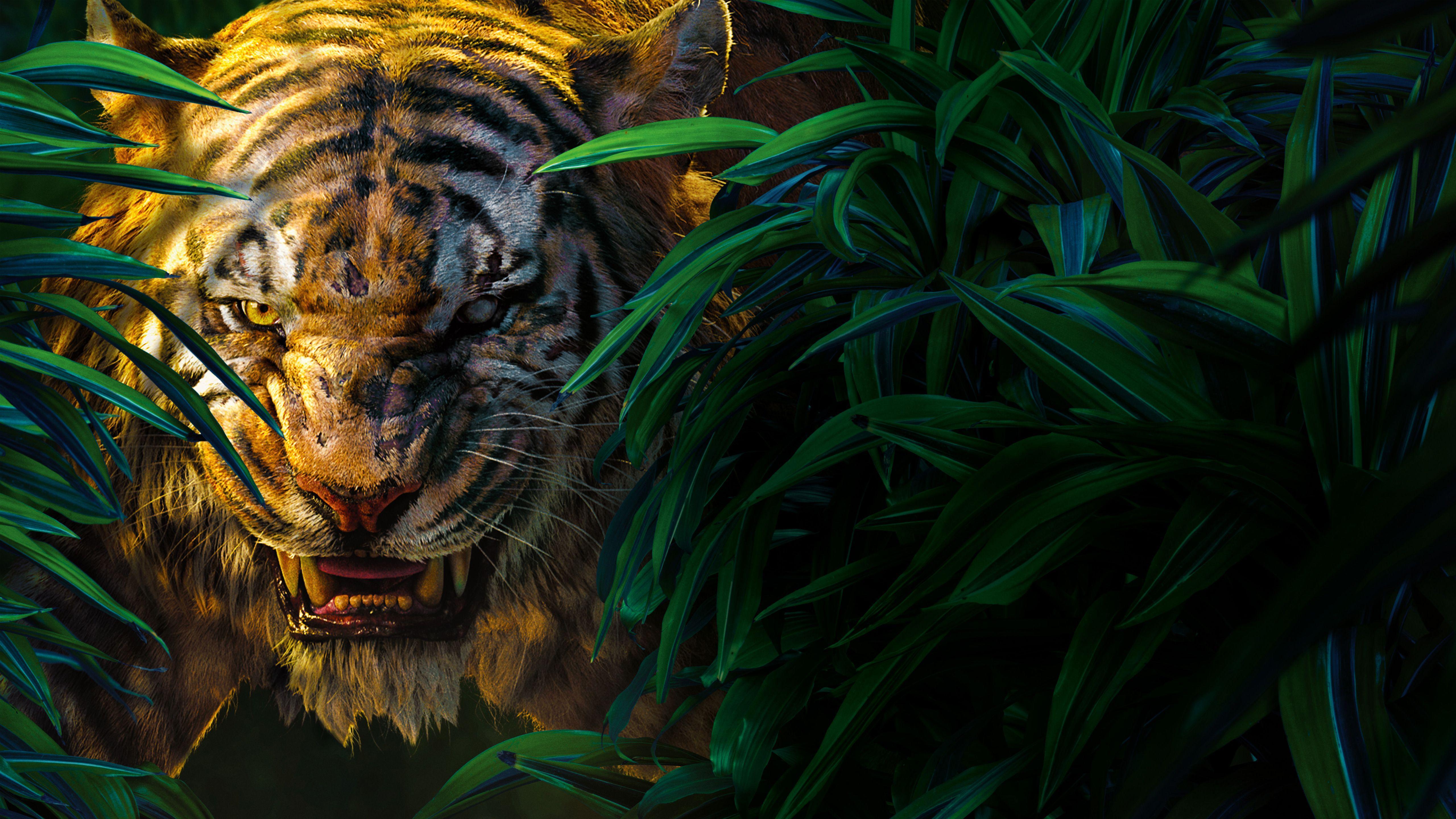 Bagheera &Amp; Mowgli Jungle Book Wallpapers